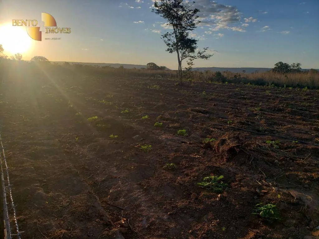 Fazenda à venda de 1.475 ha em Nobres, MT, Brasil