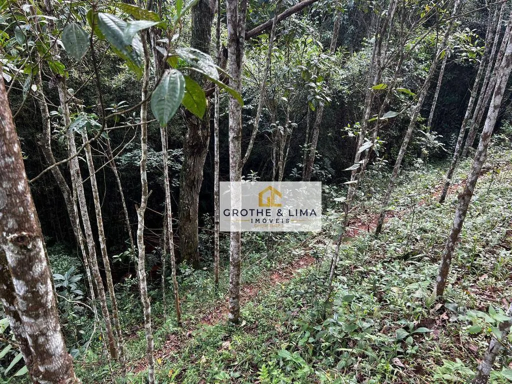 Terreno à venda de 2 ha em Jambeiro, SP, Brasil