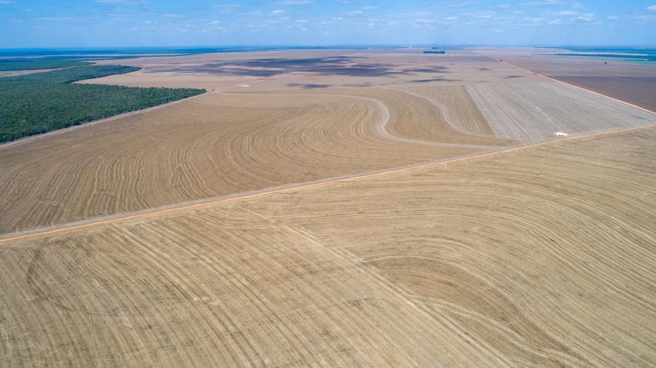 Fazenda à venda de 5.000 ha em Nova Maringá, MT, Brasil