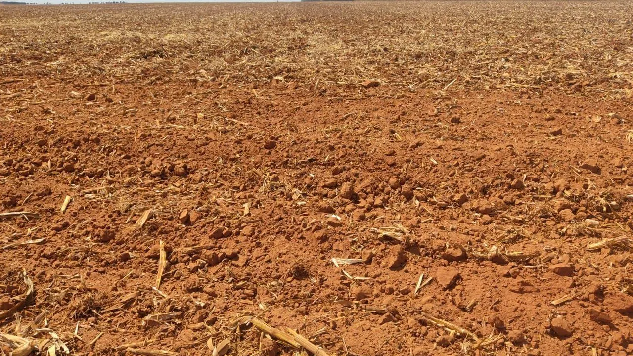 Fazenda à venda de 5.000 ha em Nova Maringá, MT, Brasil