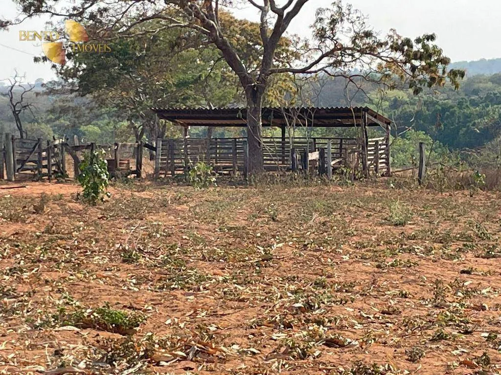 Fazenda à venda de 246 ha em General Carneiro, MT, Brasil
