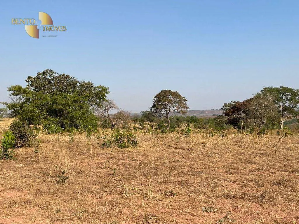 Fazenda à venda de 246 ha em General Carneiro, MT, Brasil