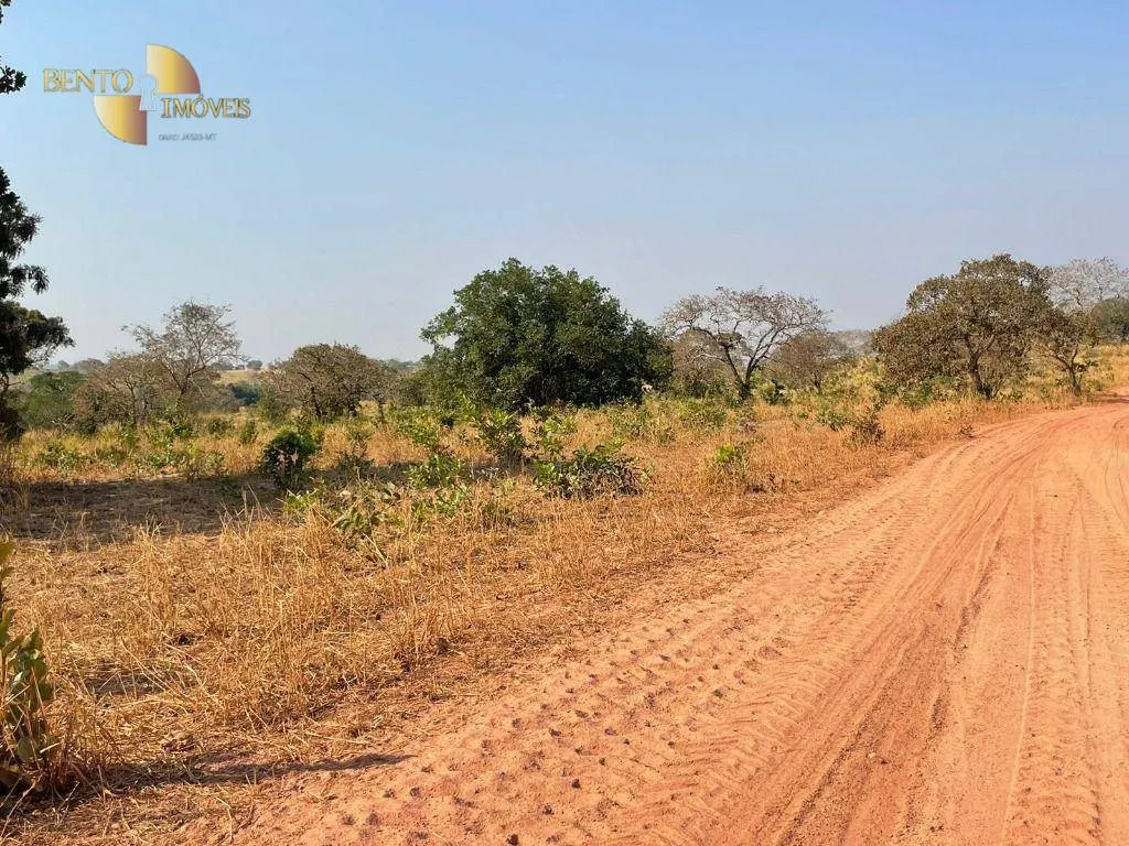 Fazenda à venda de 246 ha em General Carneiro, MT, Brasil