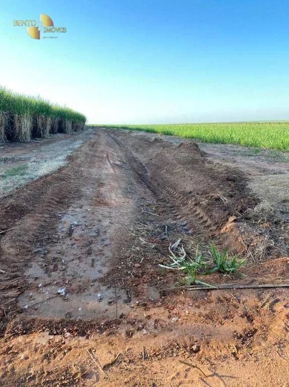 Fazenda à venda de 1.726 ha em Diamantino, MT, Brasil