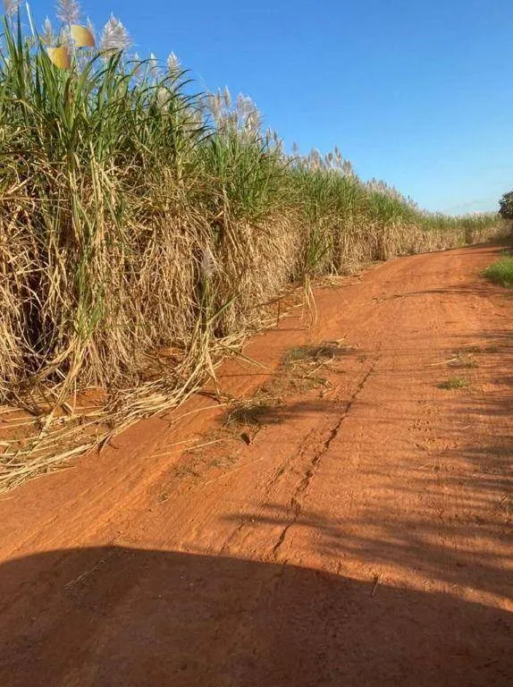 Fazenda à venda de 1.726 ha em Diamantino, MT, Brasil