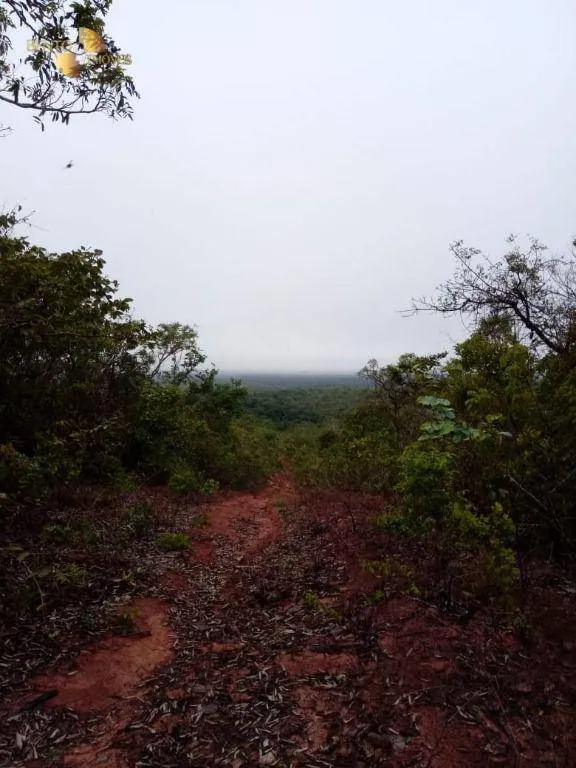 Fazenda à venda de 1.726 ha em Diamantino, MT, Brasil
