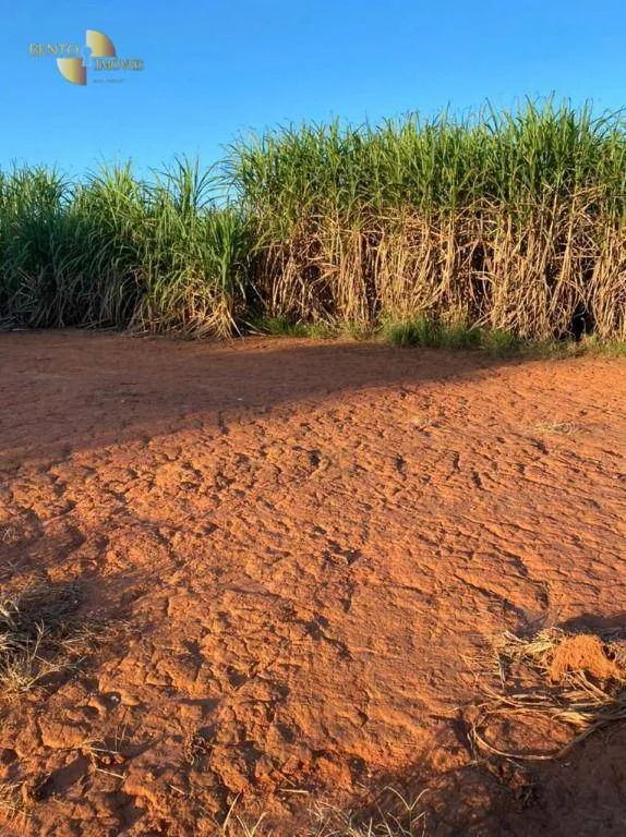 Fazenda à venda de 1.726 ha em Diamantino, MT, Brasil