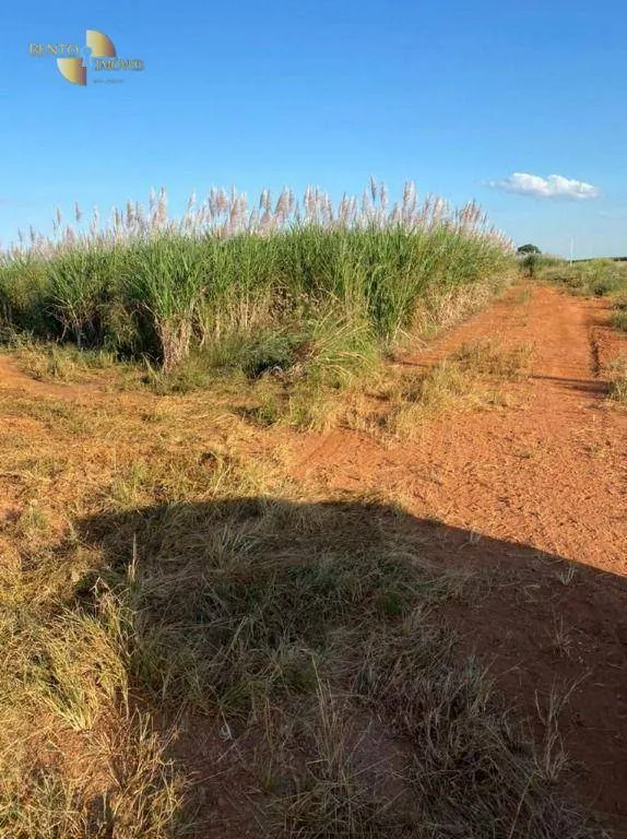 Fazenda à venda de 1.726 ha em Diamantino, MT, Brasil