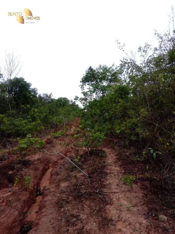 Fazenda à venda de 1.726 ha em Diamantino, MT, Brasil