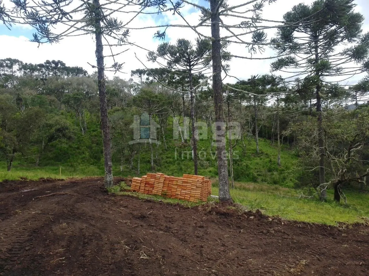 Chácara à venda e para Arrendar de 78 m² em Urubici, SC, Brasil