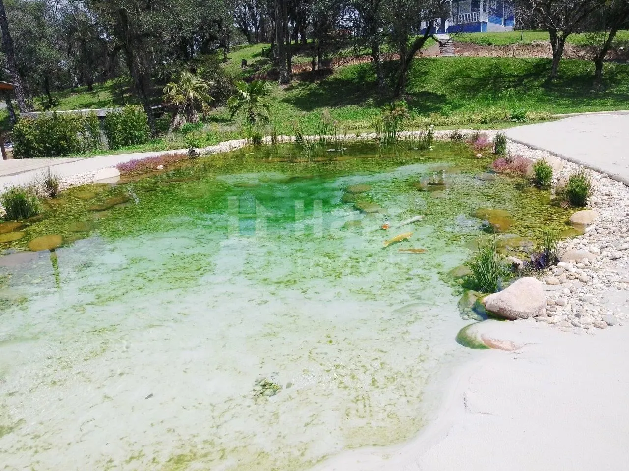 Chácara à venda e para Arrendar de 78 m² em Urubici, SC, Brasil
