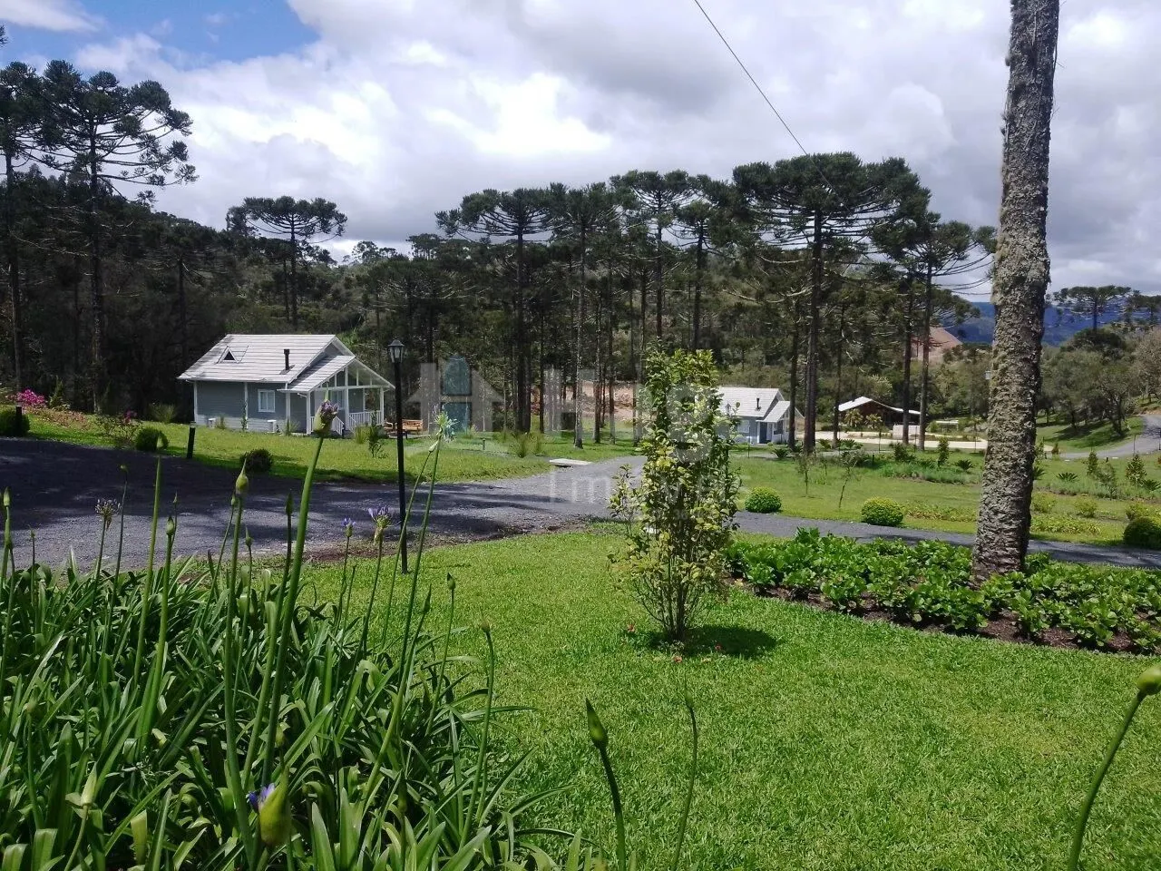 Chácara à venda e para Arrendar de 78 m² em Urubici, SC, Brasil
