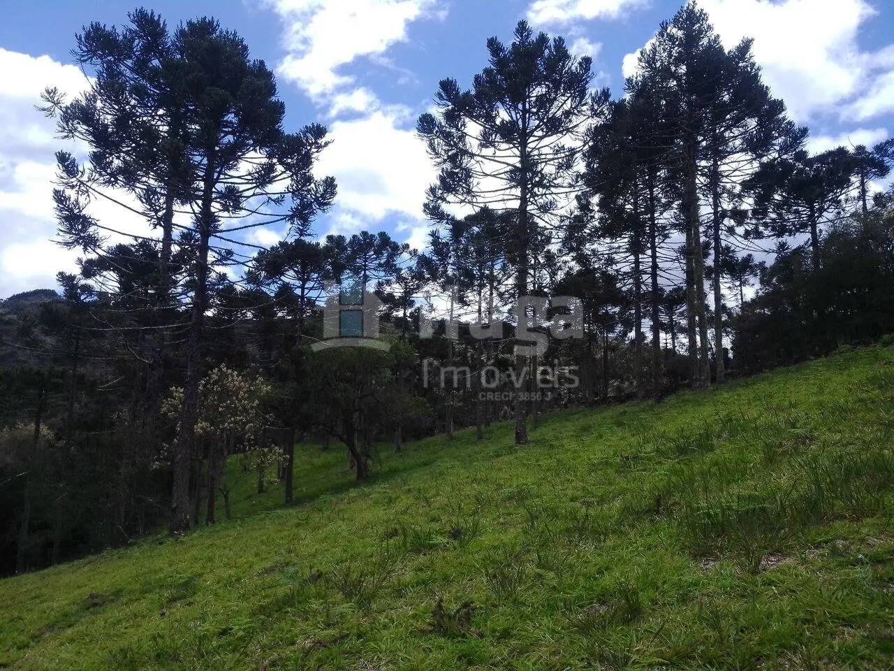 Chácara à venda e para Arrendar de 78 m² em Urubici, SC, Brasil
