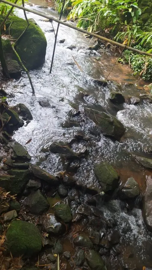 Sítio à venda de 15 ha em Cássia dos Coqueiros, SP, Brasil