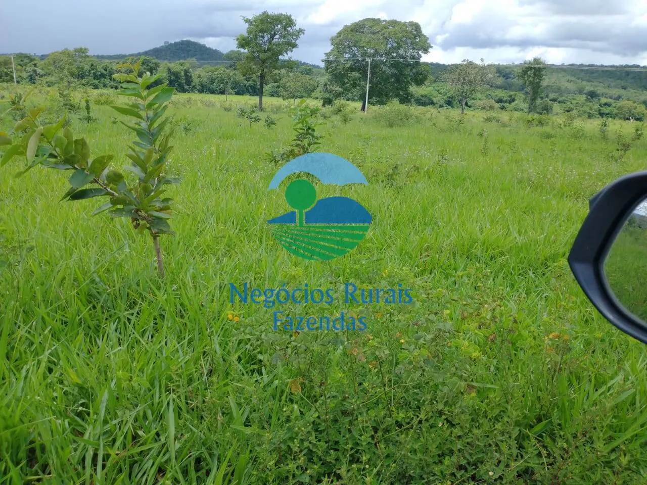 Farm for sale of 2,392 acres in Silvanópolis, TO, Brazil