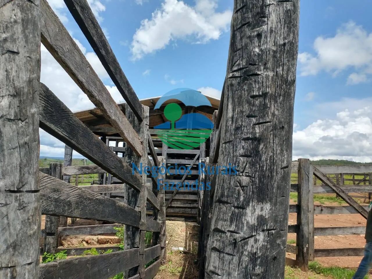 Farm for sale of 2,392 acres in Silvanópolis, TO, Brazil