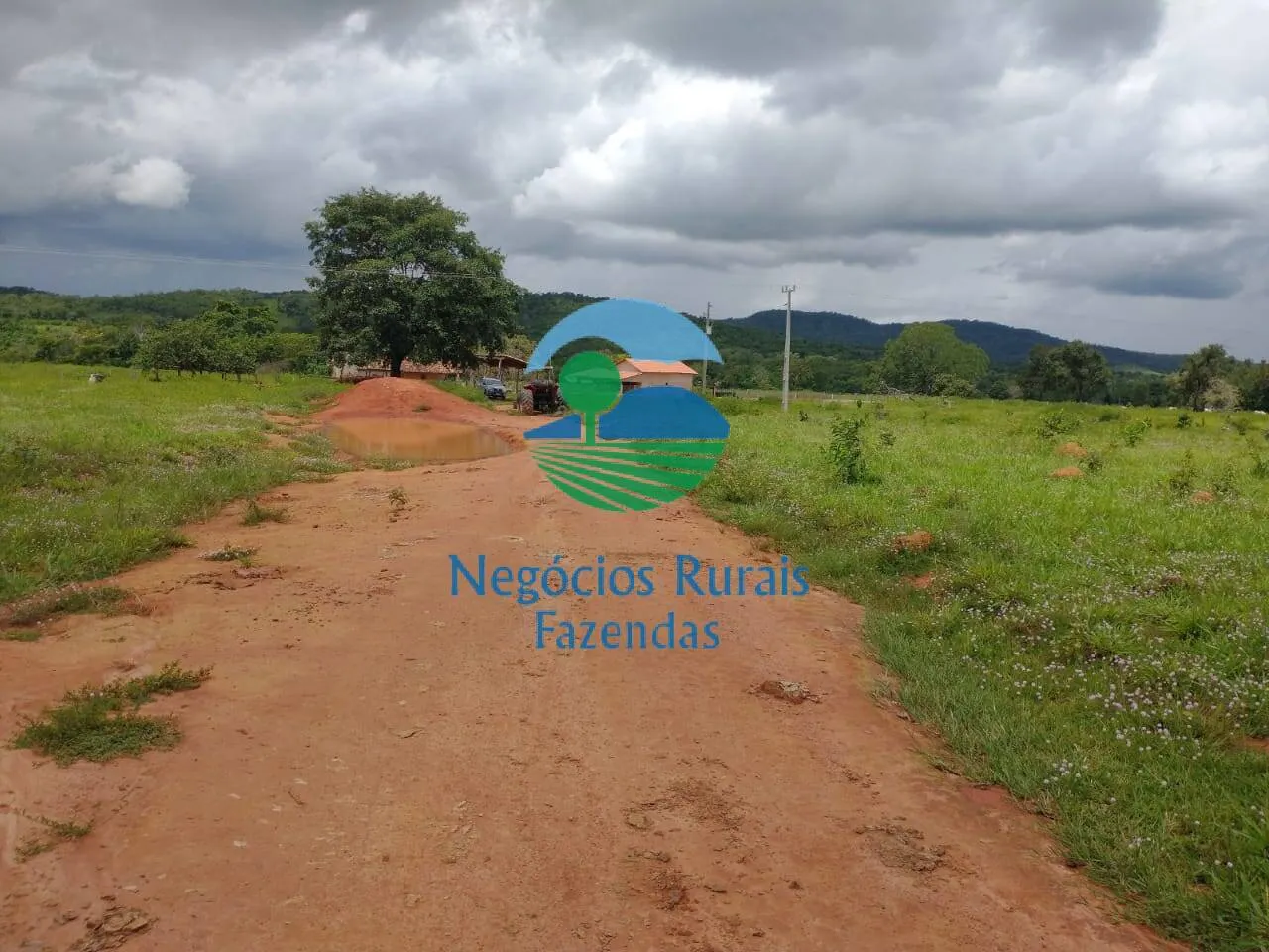 Farm for sale of 2,392 acres in Silvanópolis, TO, Brazil