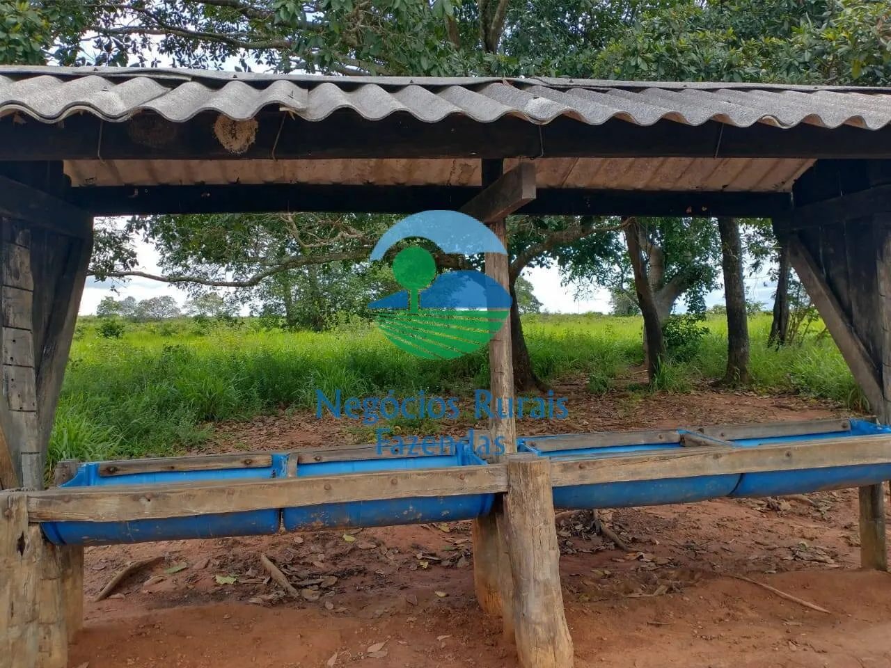 Farm for sale of 2,392 acres in Silvanópolis, TO, Brazil