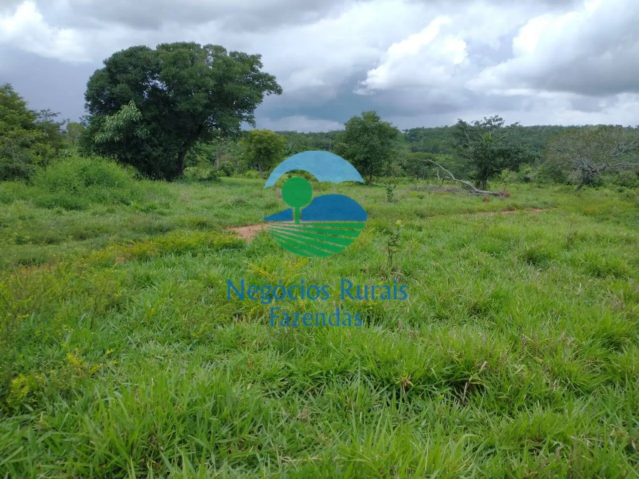 Farm for sale of 2,392 acres in Silvanópolis, TO, Brazil