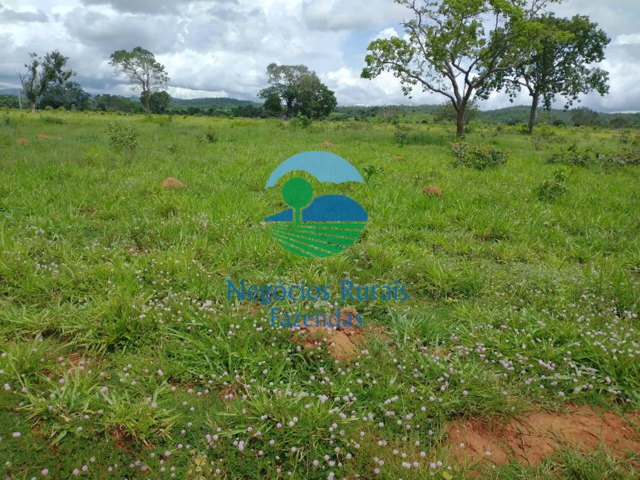 Fazenda à venda de 968 ha em Silvanópolis, TO, Brasil
