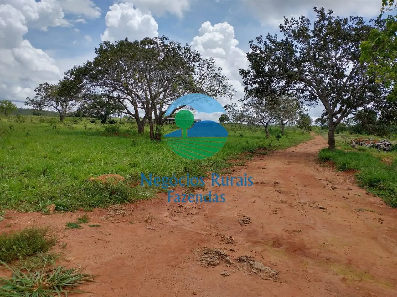 Farm for sale of 2,392 acres in Silvanópolis, TO, Brazil