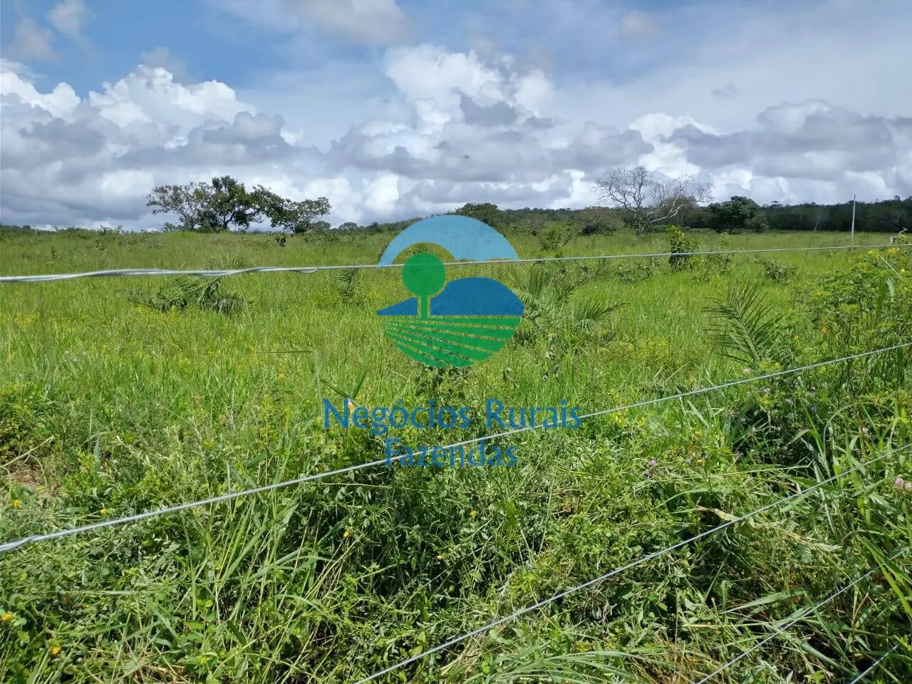 Farm for sale of 2,392 acres in Silvanópolis, TO, Brazil