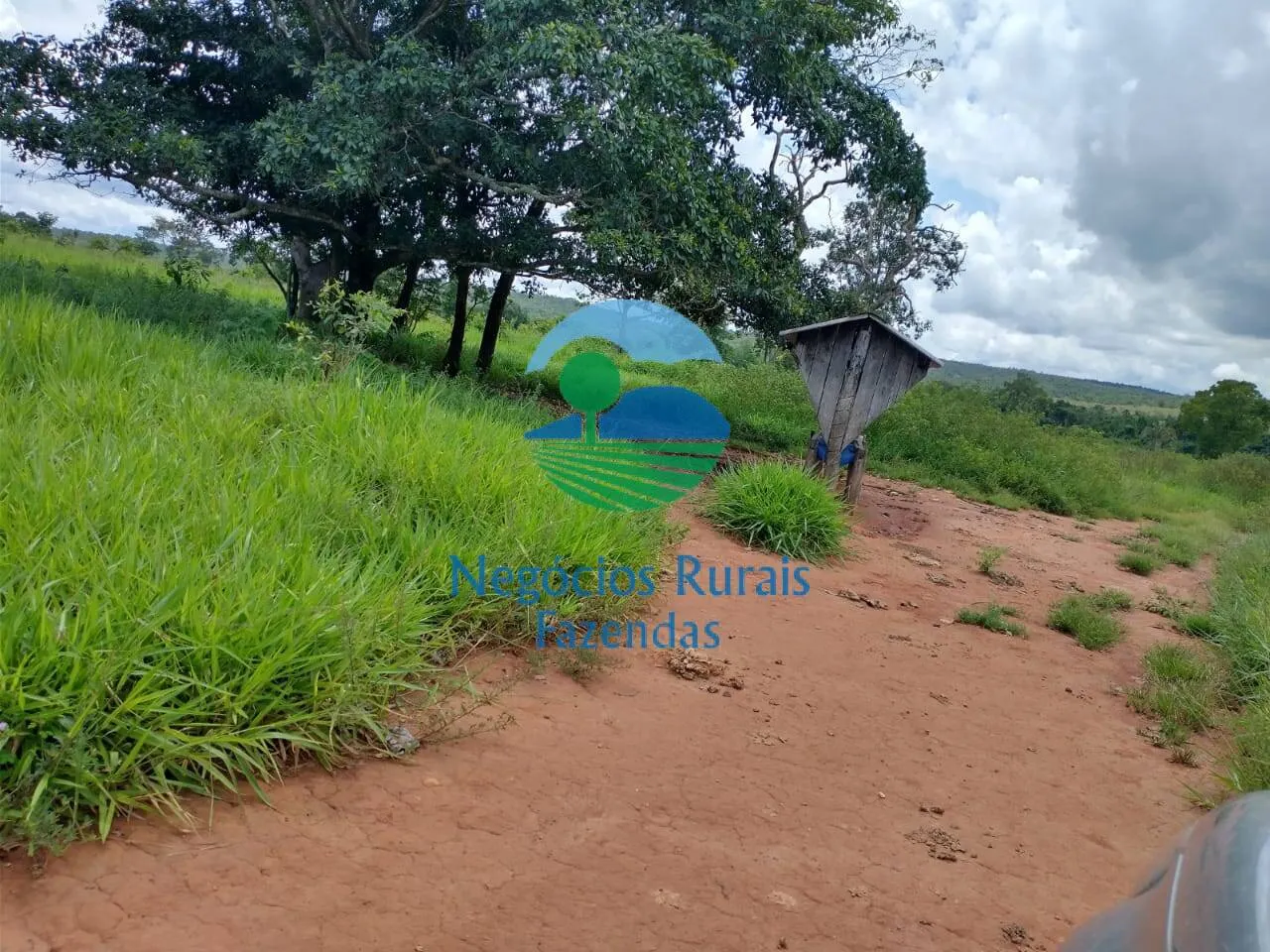 Farm for sale of 2,392 acres in Silvanópolis, TO, Brazil