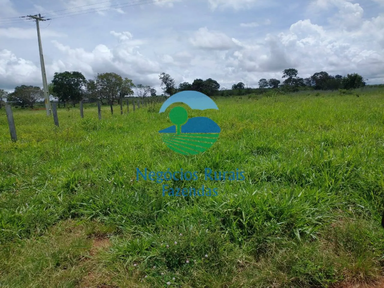 Farm for sale of 2,392 acres in Silvanópolis, TO, Brazil