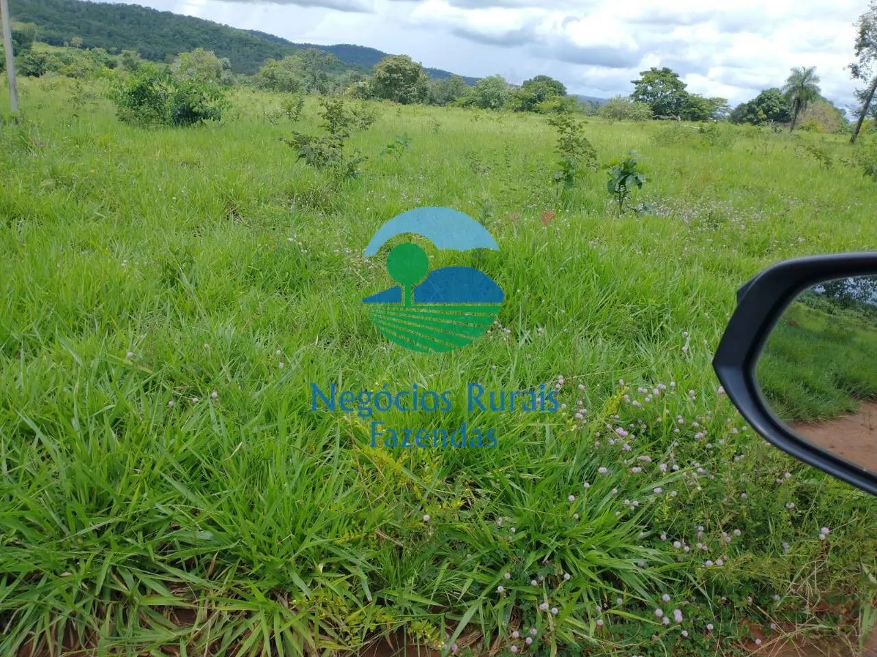 Farm for sale of 2,392 acres in Silvanópolis, TO, Brazil