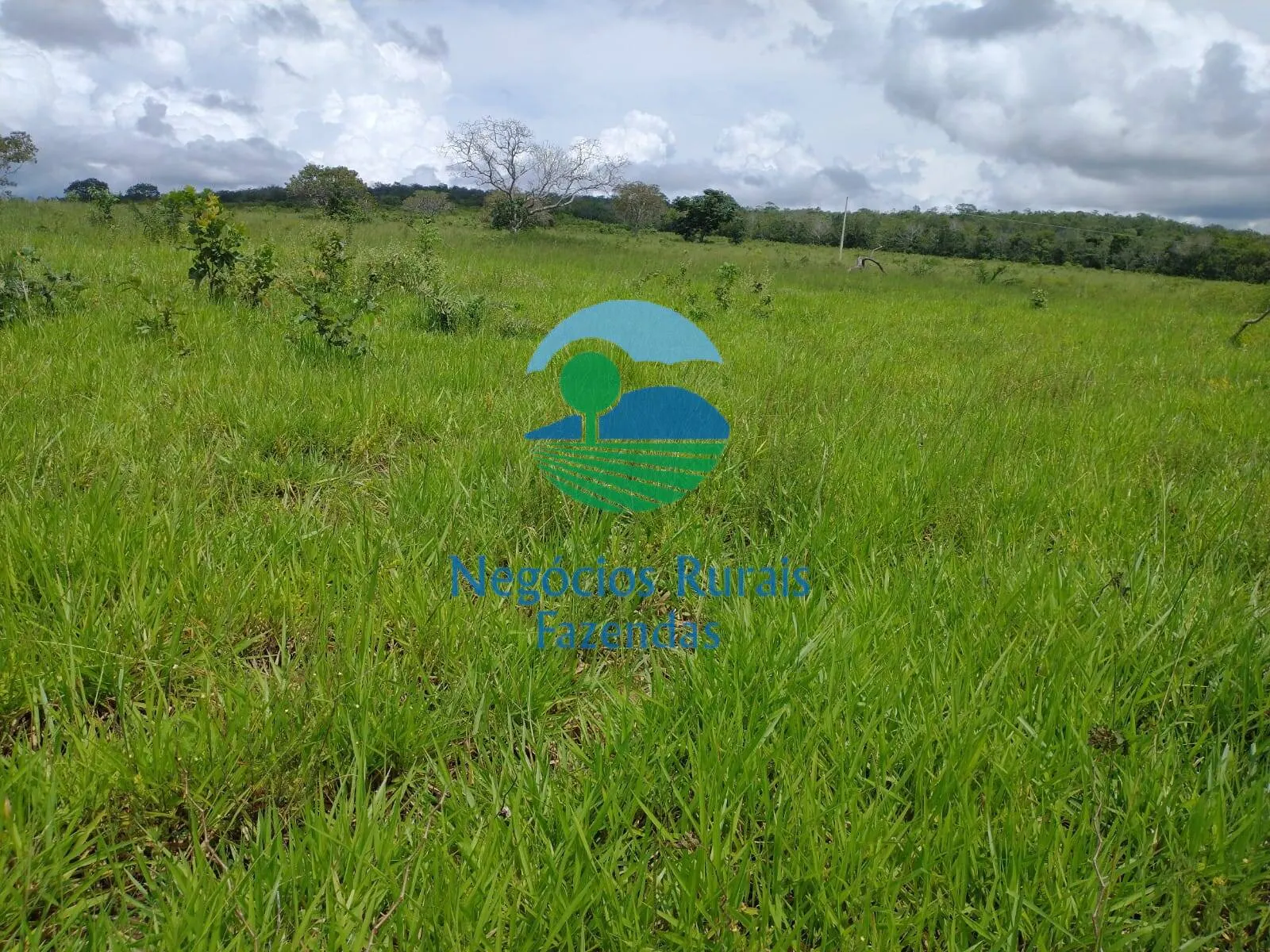 Farm for sale of 2,392 acres in Silvanópolis, TO, Brazil