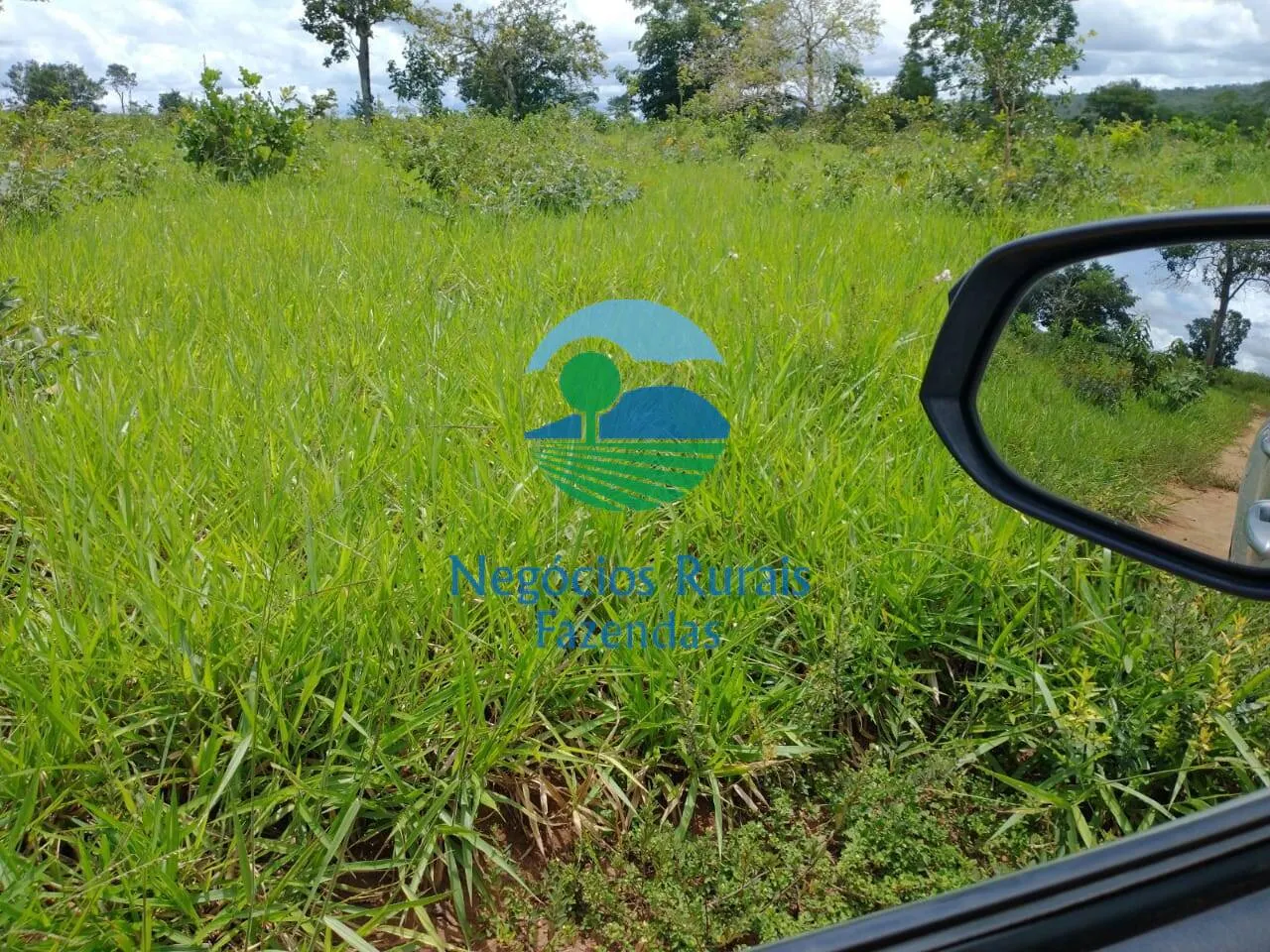 Farm for sale of 2,392 acres in Silvanópolis, TO, Brazil