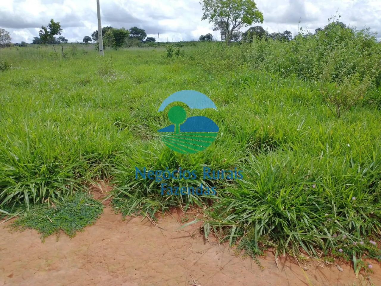 Farm for sale of 2,392 acres in Silvanópolis, TO, Brazil