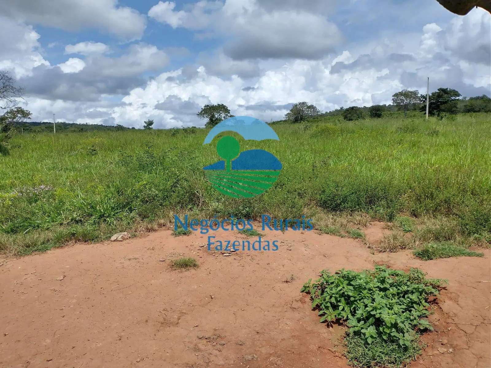 Farm for sale of 2,392 acres in Silvanópolis, TO, Brazil