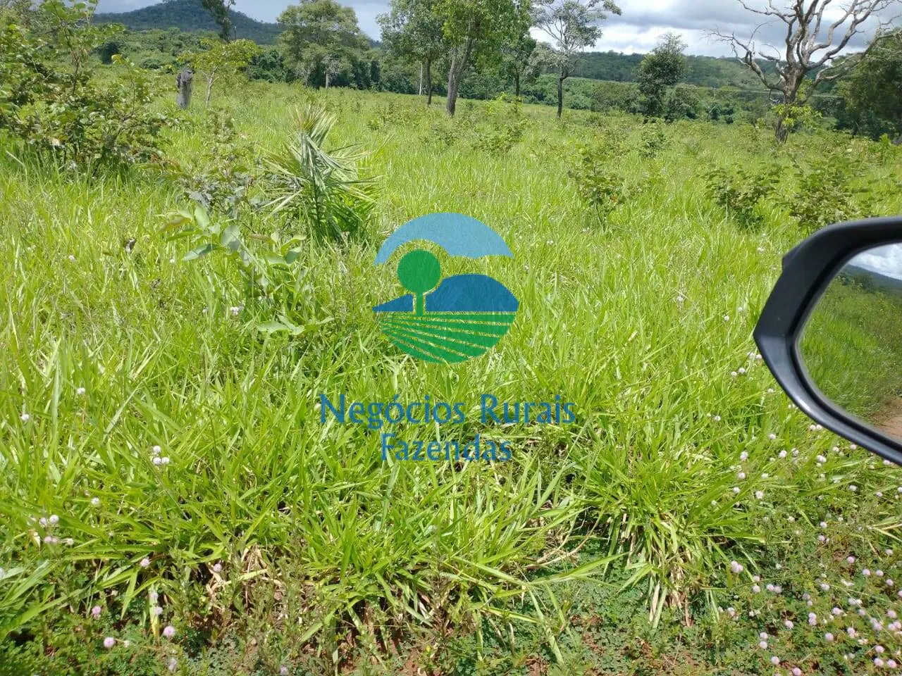 Farm for sale of 2,392 acres in Silvanópolis, TO, Brazil