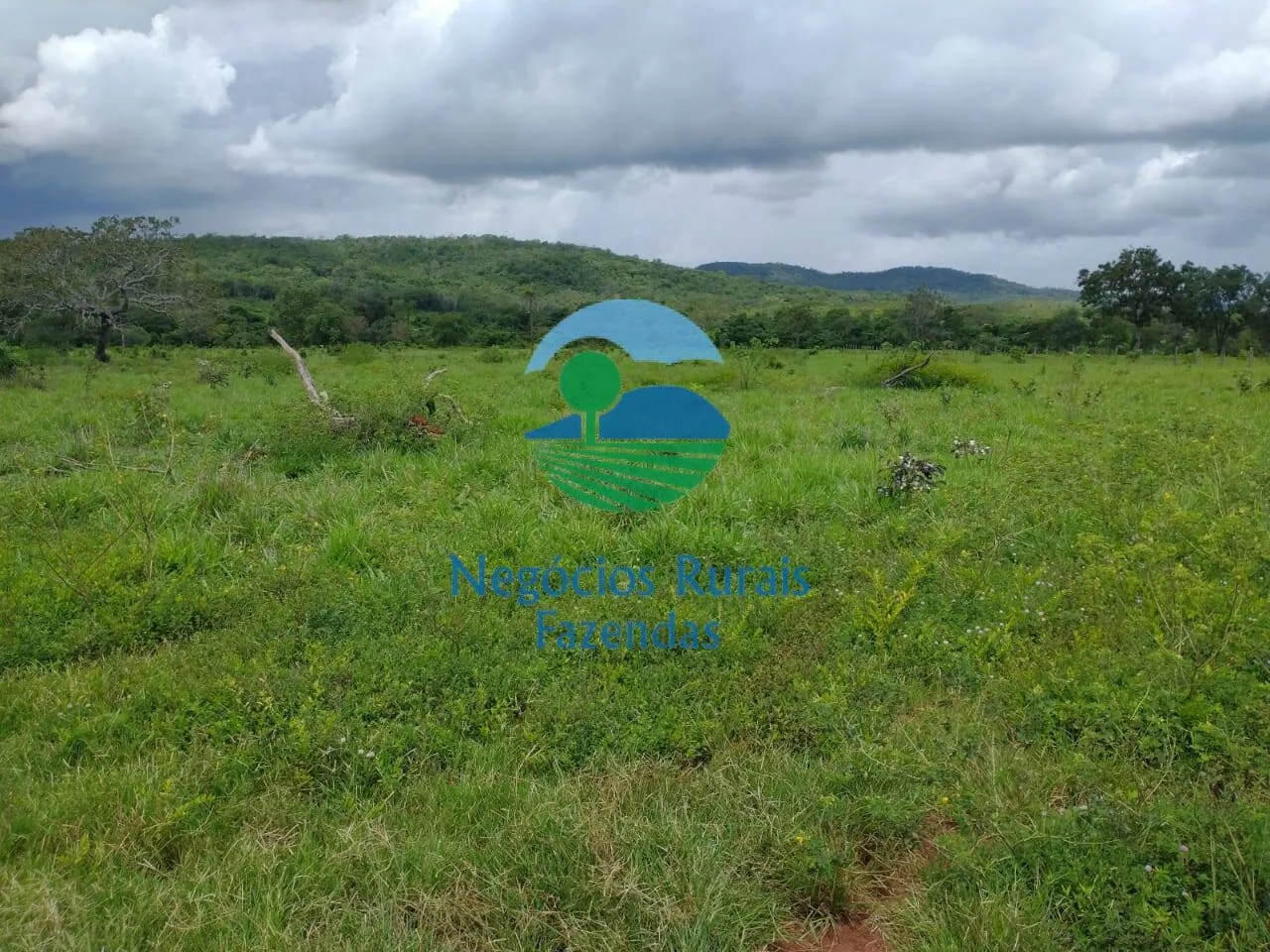 Farm for sale of 2,392 acres in Silvanópolis, TO, Brazil