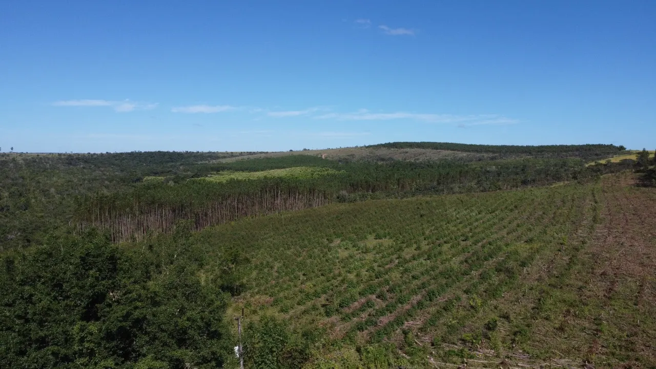 Fazenda à venda de 184 ha em Luziânia, GO, Brasil