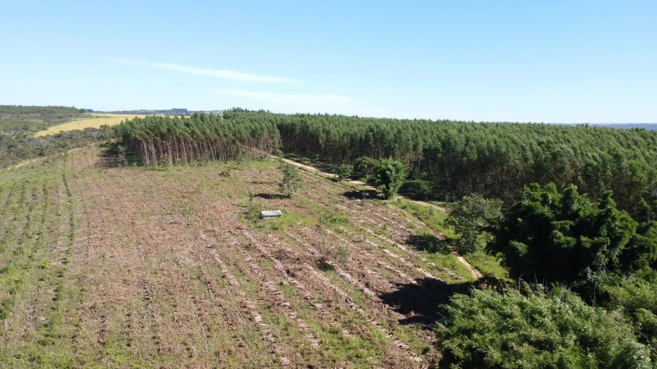 Fazenda à venda de 184 ha em Luziânia, GO, Brasil