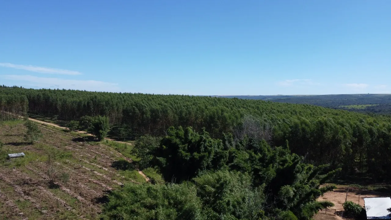 Fazenda à venda de 184 ha em Luziânia, GO, Brasil