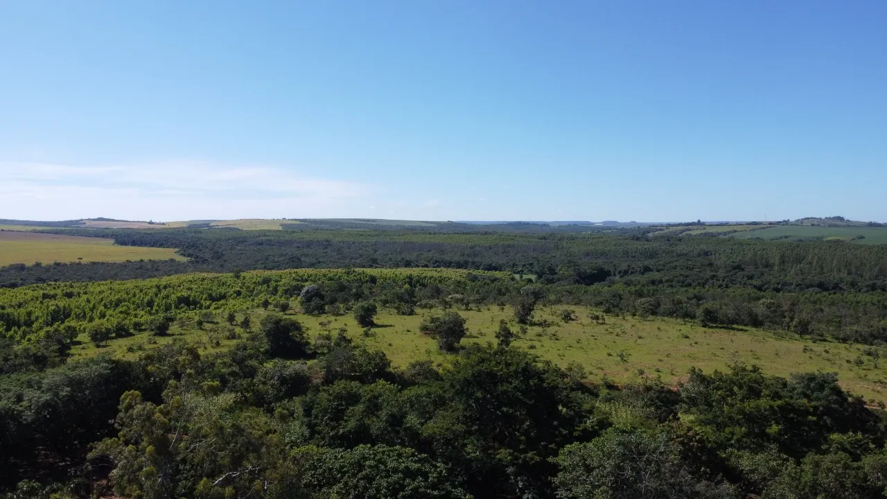 Fazenda à venda de 184 ha em Luziânia, GO, Brasil