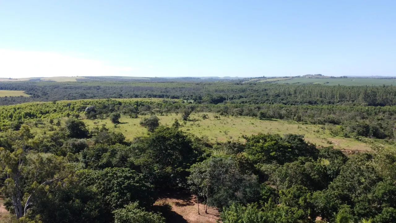 Fazenda à venda de 184 ha em Luziânia, GO, Brasil