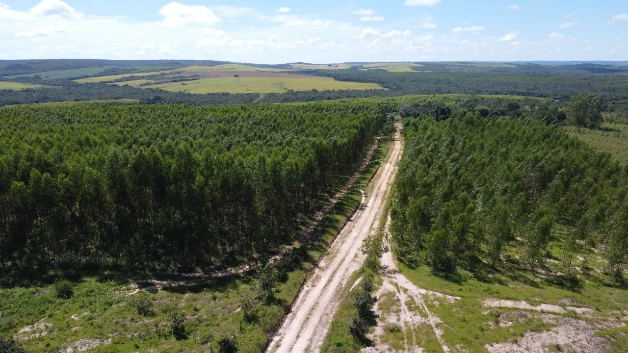Fazenda à venda de 184 ha em Luziânia, GO, Brasil