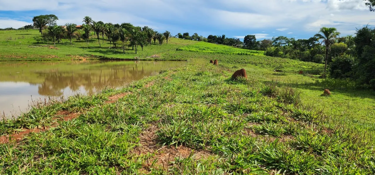 Sítio à venda de 10 ha em Cocalzinho de Goiás, GO, Brasil