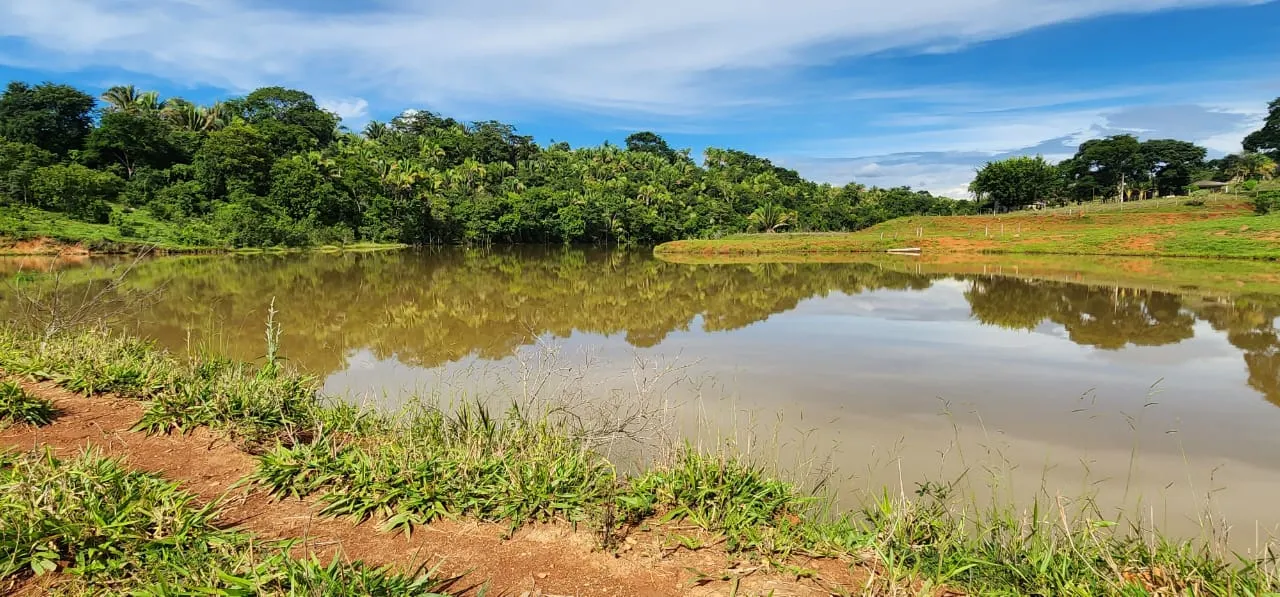 Sítio à venda de 10 ha em Cocalzinho de Goiás, GO, Brasil