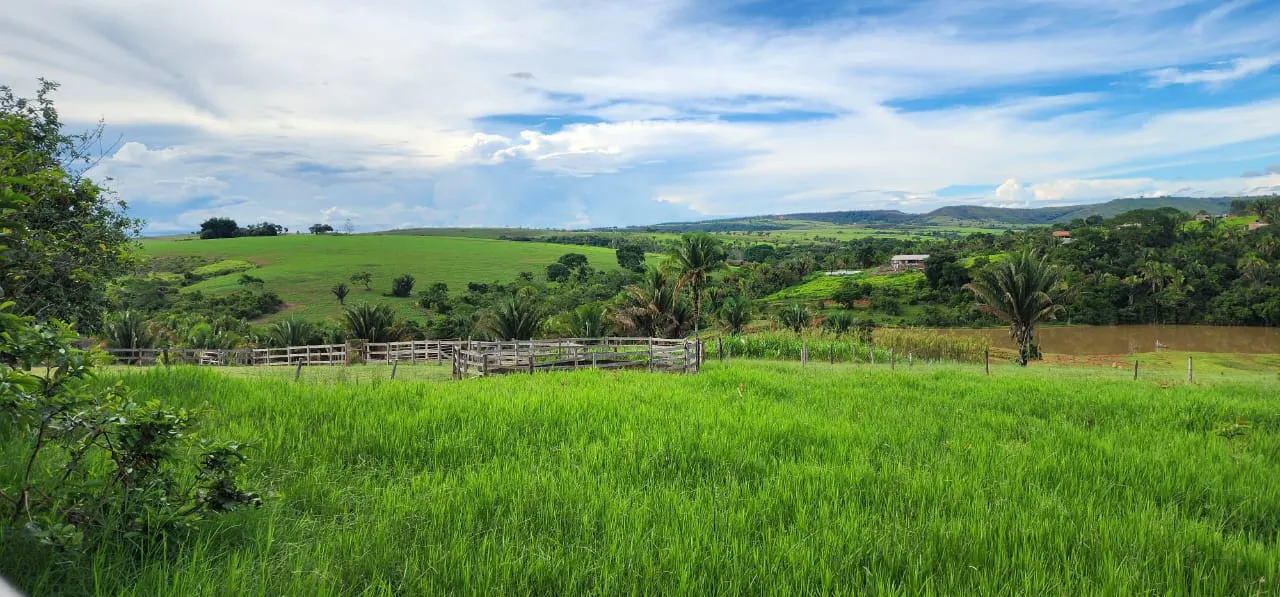 Sítio à venda de 10 ha em Cocalzinho de Goiás, GO, Brasil