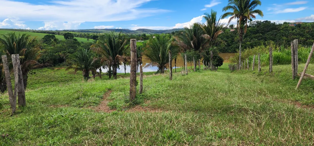 Sítio à venda de 10 ha em Cocalzinho de Goiás, GO, Brasil