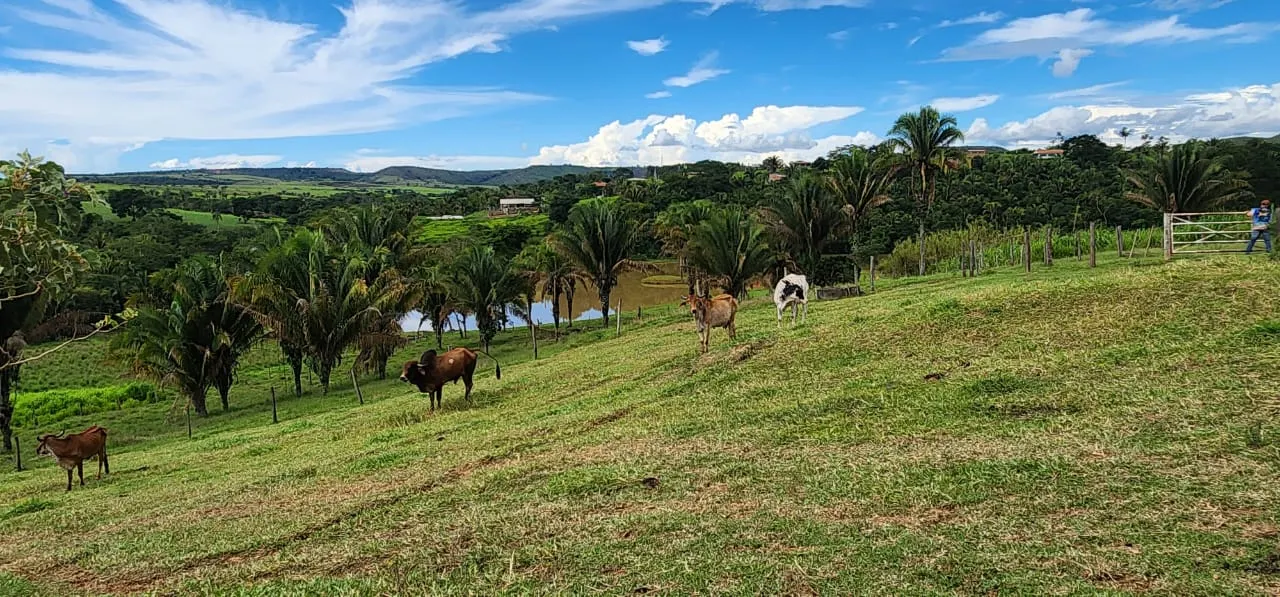 Sítio à venda de 10 ha em Cocalzinho de Goiás, GO, Brasil