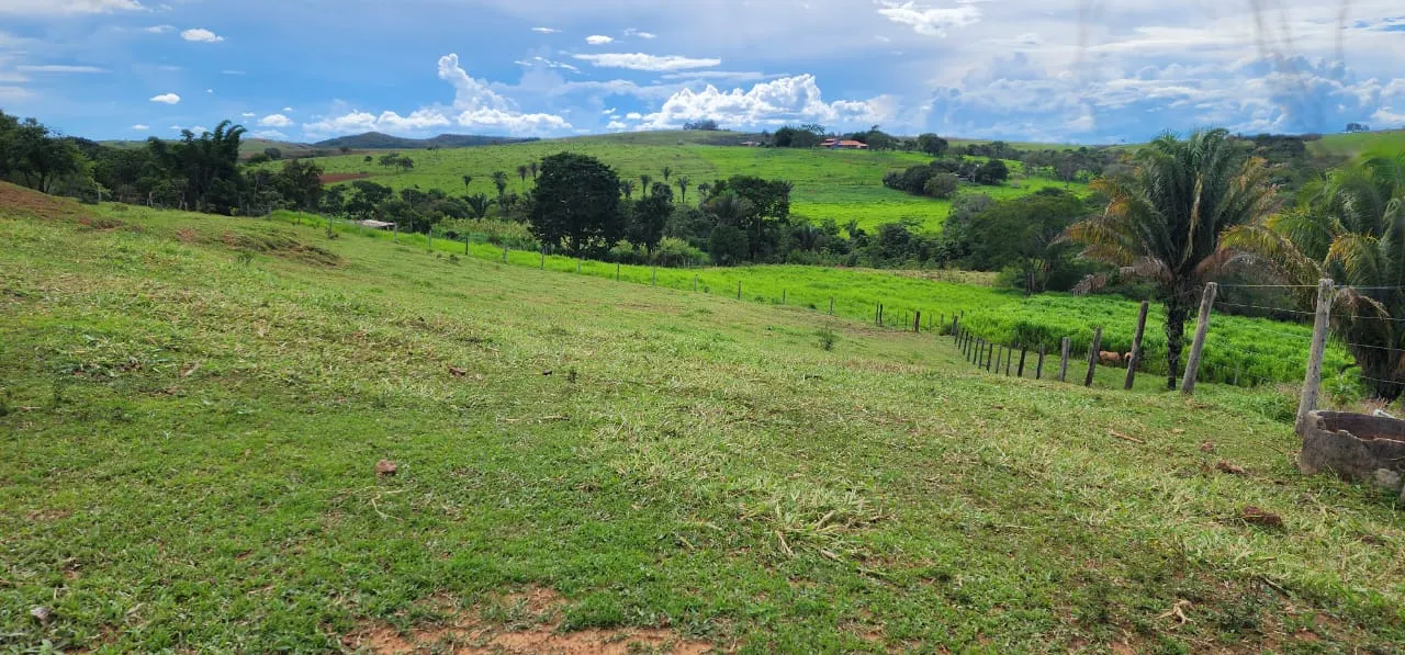 Sítio à venda de 10 ha em Cocalzinho de Goiás, GO, Brasil