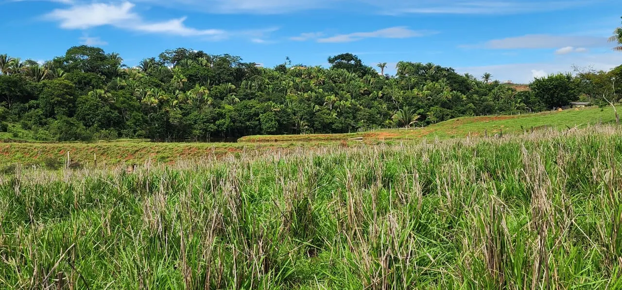 Sítio à venda de 10 ha em Cocalzinho de Goiás, GO, Brasil