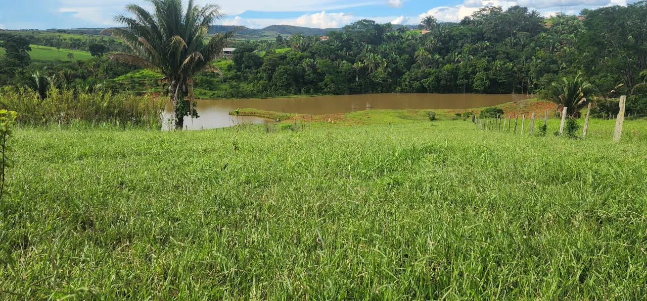 Sítio à venda de 10 ha em Cocalzinho de Goiás, GO, Brasil