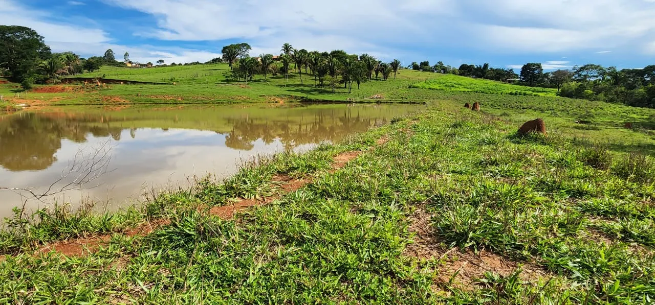 Sítio à venda de 10 ha em Cocalzinho de Goiás, GO, Brasil